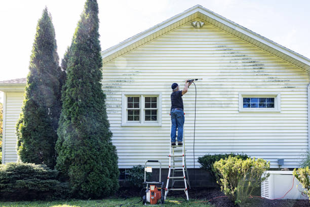 Best Driveway Cleaning and Restoration in Abingdon, IL